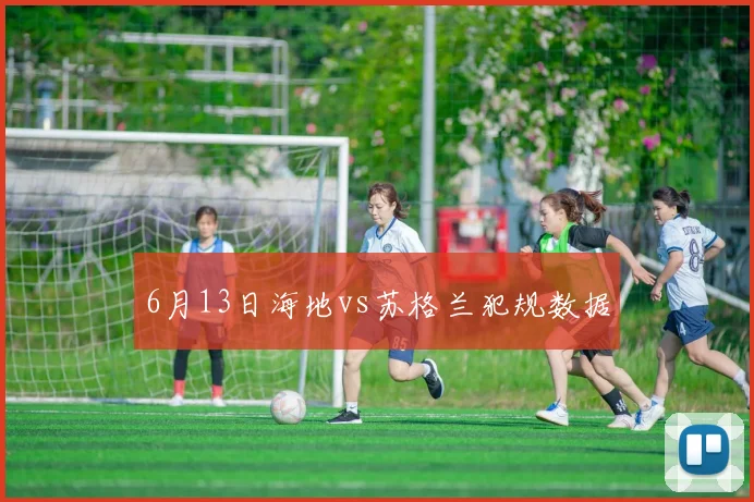 6月13日海地vs苏格兰犯规数据