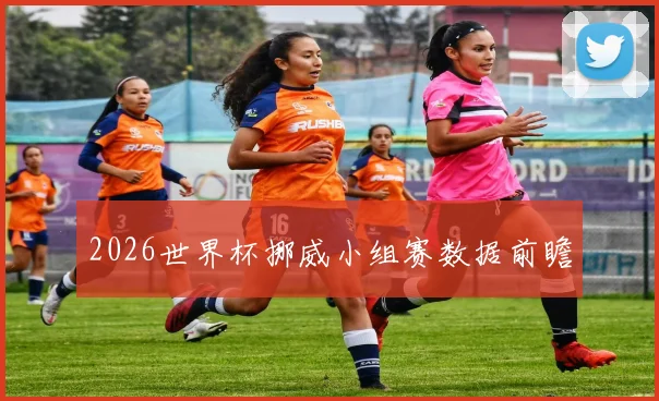 2026世界杯挪威小组赛数据前瞻