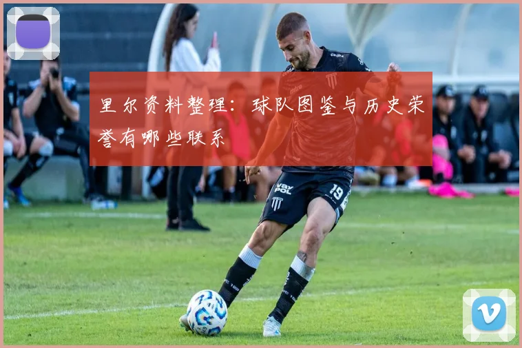 里尔资料整理：球队图鉴与历史荣誉有哪些联系