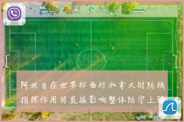 阿坎吉在世界杯面对加拿大时防线指挥作用将直接影响整体防守上限