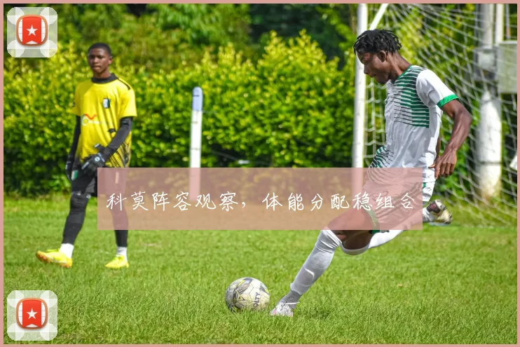 科莫阵容观察,体能分配稳组合